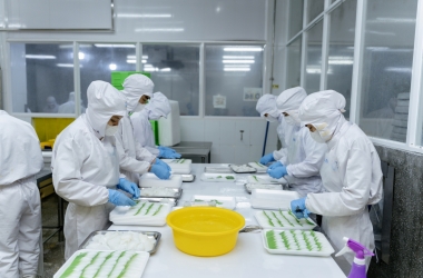 Tên bài viết tin tức của bạn sẽ được nhập tại đây 2